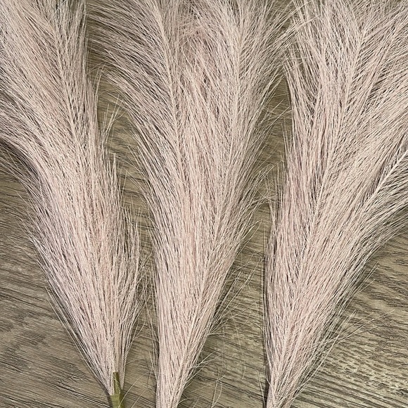 12 - 17" Pampas Grass Decor Beige/Brown/Tan - Picture 4 of 6